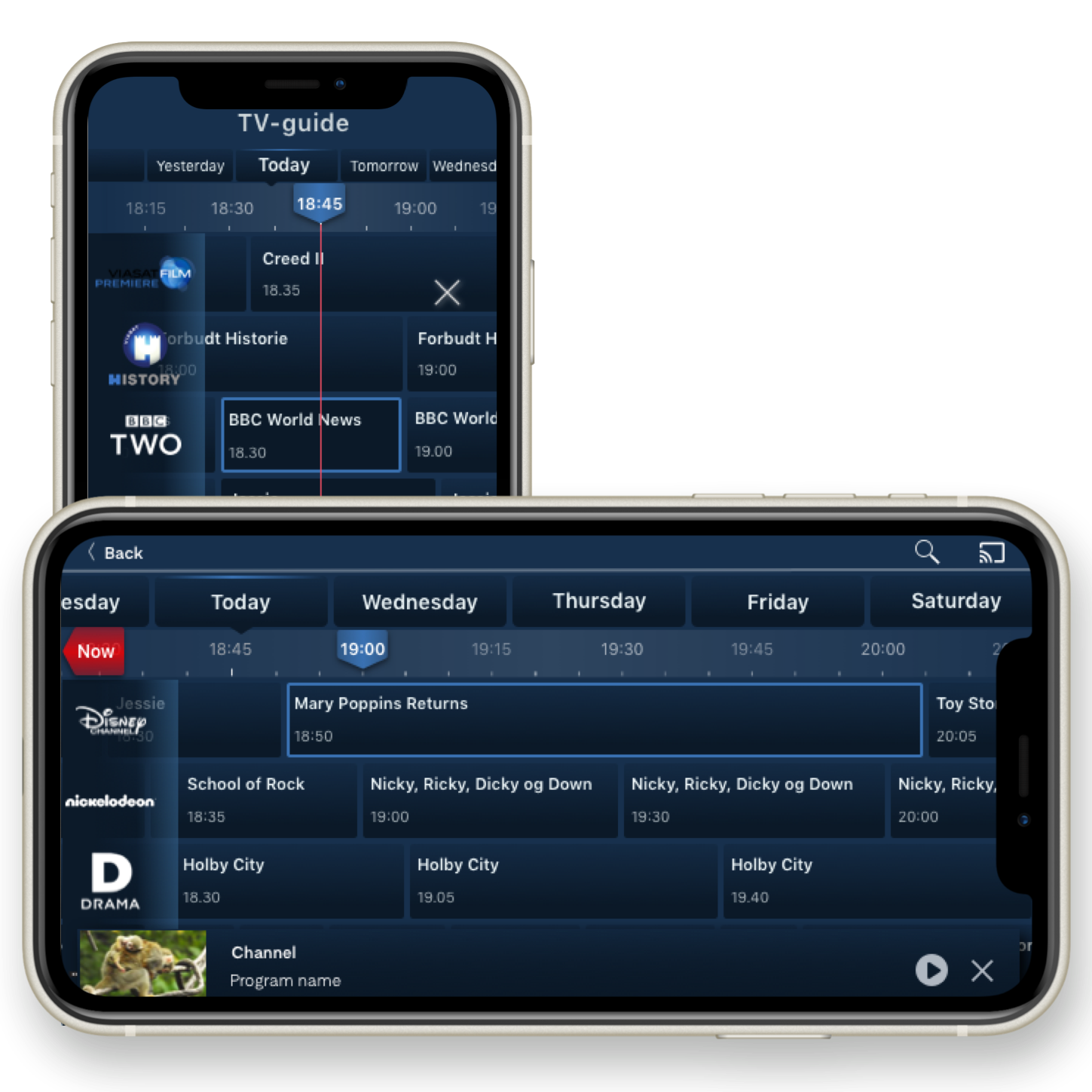 EPG portrait and landscape views with programme details
